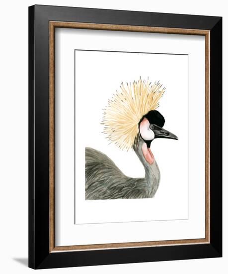 Watercolor Crested Crane-Naomi McCavitt-Framed Art Print