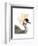 Watercolor Crested Crane-Naomi McCavitt-Framed Art Print