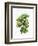 Watercolor Croton Leaves-null-Framed Art Print