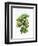 Watercolor Croton Leaves-null-Framed Art Print