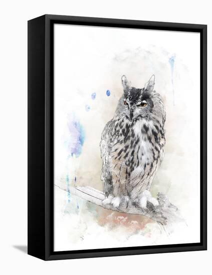 Watercolor Digital Painting of   Perching Owl-abracadabra99-Framed Premier Image Canvas