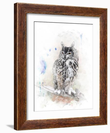Watercolor Digital Painting of   Perching Owl-abracadabra99-Framed Photographic Print