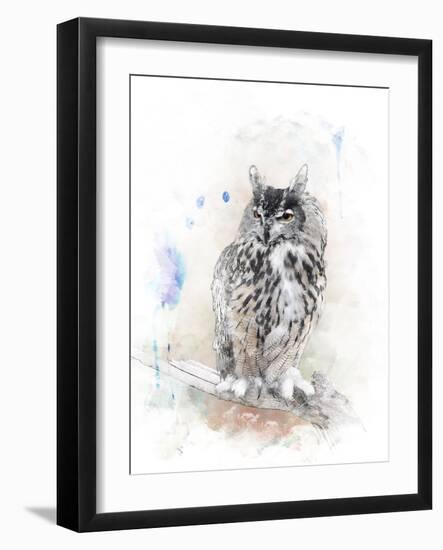 Watercolor Digital Painting of   Perching Owl-abracadabra99-Framed Photographic Print