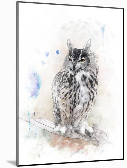 Watercolor Digital Painting of   Perching Owl-abracadabra99-Mounted Photographic Print