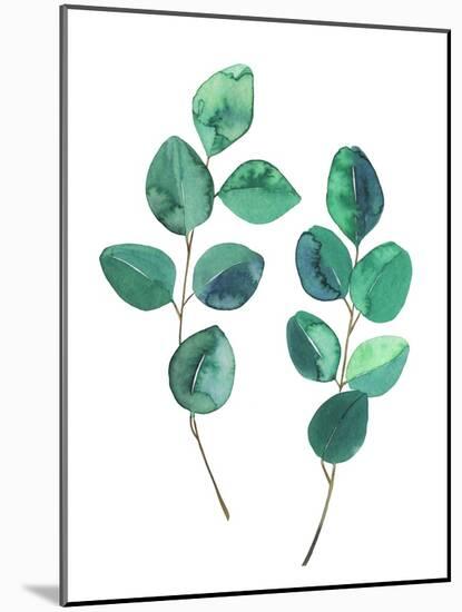 Watercolor Eucalyptus Branches - Botanical Illustration-Maria Mirnaya-Mounted Art Print