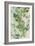 Watercolor Eucalyptus I-Jennifer Goldberger-Framed Premium Giclee Print
