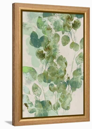 Watercolor Eucalyptus I-Jennifer Goldberger-Framed Stretched Canvas