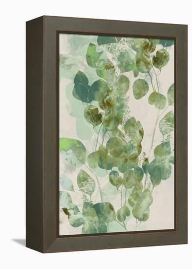 Watercolor Eucalyptus I-Jennifer Goldberger-Framed Stretched Canvas