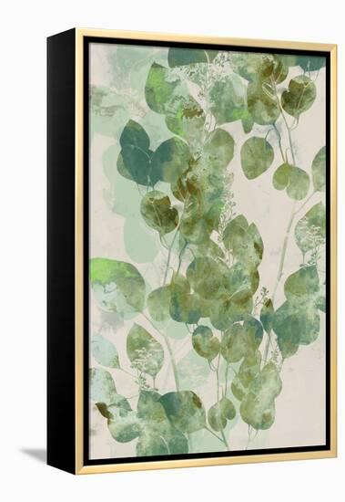 Watercolor Eucalyptus I-Jennifer Goldberger-Framed Stretched Canvas