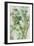 Watercolor Eucalyptus II-Jennifer Goldberger-Framed Art Print