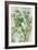 Watercolor Eucalyptus II-Jennifer Goldberger-Framed Art Print