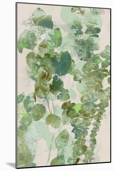 Watercolor Eucalyptus II-Jennifer Goldberger-Mounted Art Print