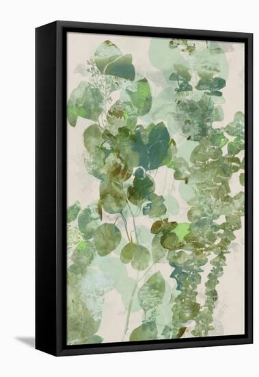 Watercolor Eucalyptus II-Jennifer Goldberger-Framed Stretched Canvas