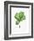 Watercolor Ficus Branch-null-Framed Art Print