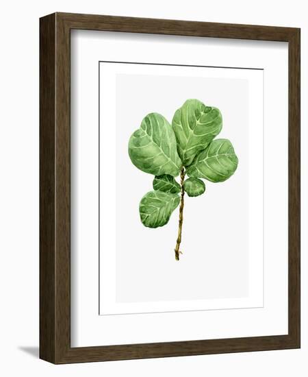 Watercolor Ficus Branch-null-Framed Art Print