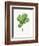 Watercolor Ficus Branch-null-Framed Art Print