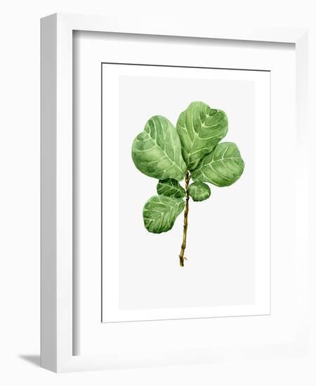 Watercolor Ficus Branch-null-Framed Art Print