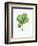 Watercolor Ficus Branch-null-Framed Art Print