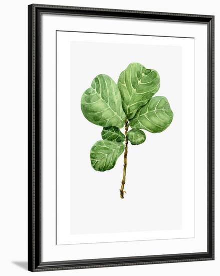 Watercolor Ficus Branch-null-Framed Art Print