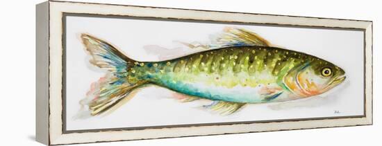Watercolor Fish II-Patricia Pinto-Framed Stretched Canvas