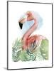 Watercolor Flamingo Composition II-Grace Popp-Mounted Art Print