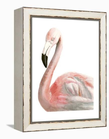 Watercolor Flamingo-Naomi McCavitt-Framed Stretched Canvas