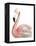 Watercolor Flamingo-Naomi McCavitt-Framed Stretched Canvas