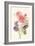 Watercolor Flowers III-Danhui Nai-Framed Art Print