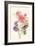 Watercolor Flowers III-Danhui Nai-Framed Art Print