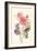 Watercolor Flowers III-Danhui Nai-Framed Art Print