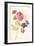 Watercolor Flowers IV-Danhui Nai-Framed Art Print