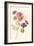 Watercolor Flowers IV-Danhui Nai-Framed Art Print