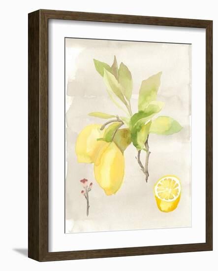 Watercolor Fruit II-Naomi McCavitt-Framed Art Print