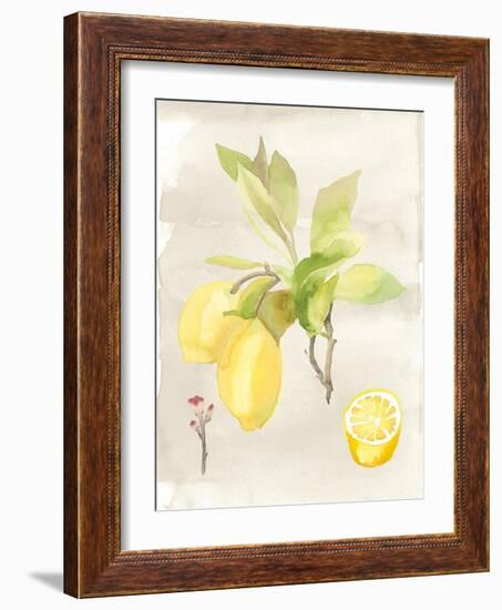 Watercolor Fruit II-Naomi McCavitt-Framed Art Print