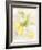 Watercolor Fruit II-Naomi McCavitt-Framed Art Print