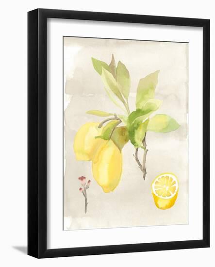 Watercolor Fruit II-Naomi McCavitt-Framed Art Print