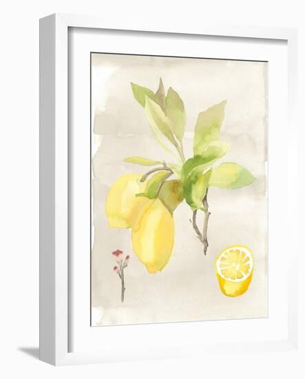 Watercolor Fruit II-Naomi McCavitt-Framed Art Print