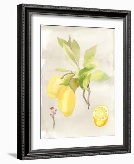 Watercolor Fruit II-Naomi McCavitt-Framed Art Print