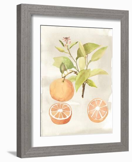 Watercolor Fruit V-Naomi McCavitt-Framed Art Print