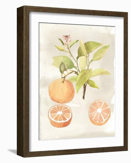 Watercolor Fruit V-Naomi McCavitt-Framed Art Print