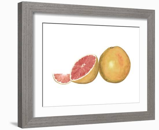 Watercolor Grapefruit-Michael Willett-Framed Art Print