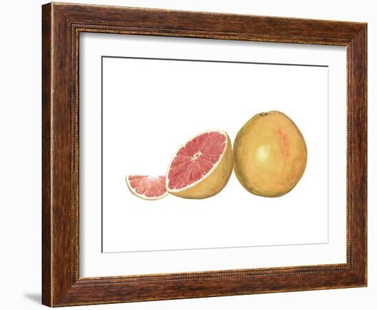 Watercolor Grapefruit-Michael Willett-Framed Art Print