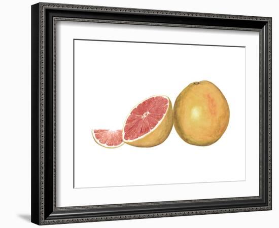 Watercolor Grapefruit-Michael Willett-Framed Art Print