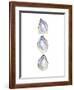 Watercolor Gulf Oyster Tri-Jetty Printables-Framed Art Print