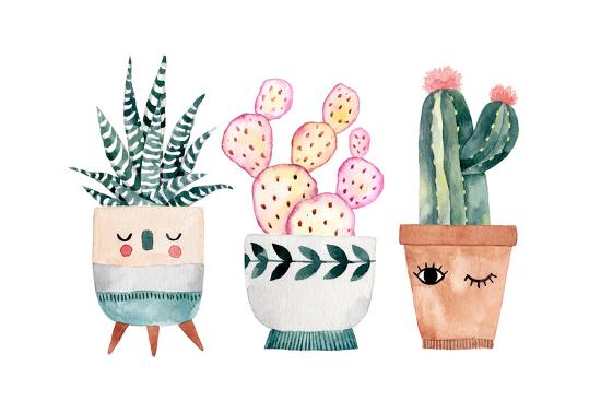 Watercolor Hand Drawn Illustration With Cactus And Succulents
