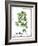 Watercolor Herbs II-Grace Popp-Framed Art Print