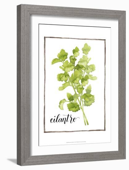 Watercolor Herbs IV-Grace Popp-Framed Art Print