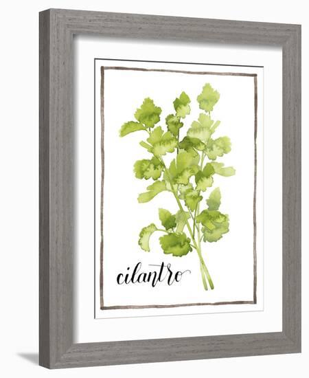 Watercolor Herbs IV-Grace Popp-Framed Art Print