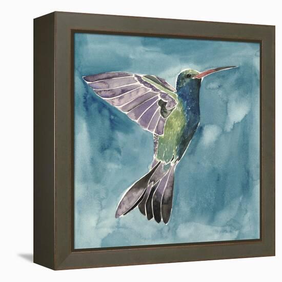 Watercolor Hummingbird I-Grace Popp-Framed Stretched Canvas