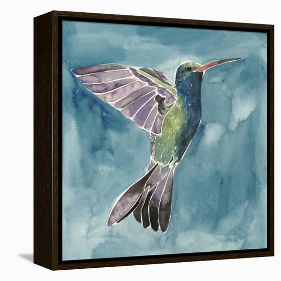 Watercolor Hummingbird I-Grace Popp-Framed Stretched Canvas